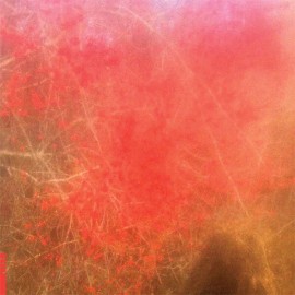 FOOM & FOAM Foom & Foam Records & LPs New