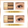 Coffret D’or Eyeshadow Flesh Color Impression Eyes