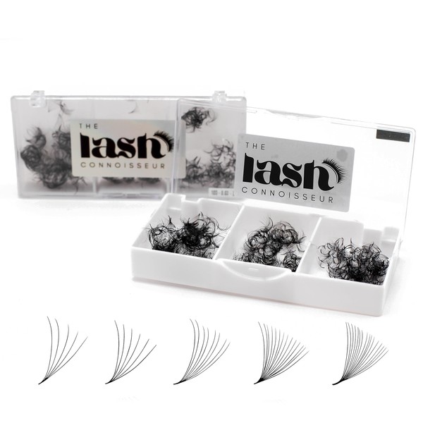 12D - D Curl 750 Fans Mixed Promade Fans Lash
