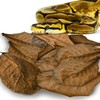 SunGrow Leaf Litter for Snakes, 10 Pcs Medium Indian Almond
