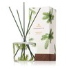 Thymes Frasier Fir Reed Diffuser Set – Includes Reeds, Fragrance