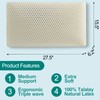 100% Talalay Latex Pillow, Natural Sleeping Bed Pillow - Luxury