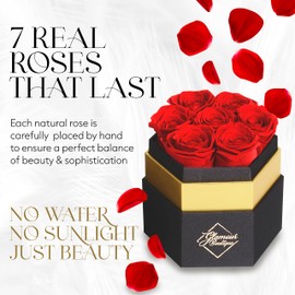 GLAMOUR BOUTIQUE 7-Piece Forever Red Rose Box - Preserved Roses in a Box, Immortal Roses in a Box That Last A Year - Eternal Rose Preserved Flowers for Delivery Prime Mothers Day & Valentines Day
