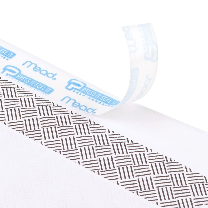Mead #6-3/4 Envelopes, 3-5/8" x 6-1/2", Security Printed Lining for