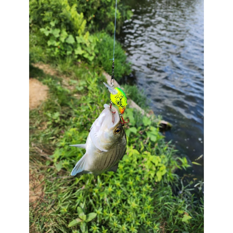 Strike Maxx Real Target Crawfish Crankbait - Red