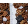 Orchid Potting Mix - Medium Orchid Bark with Charcoal &