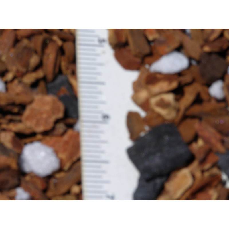 Orchid Potting Mix - Medium Orchid Bark with Charcoal &