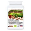 Specialist Supplements Multi-Mushroom Organic Complex, 90 Capsules