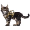 Arnés táctico para gatos para caminar a prueba de escapes,