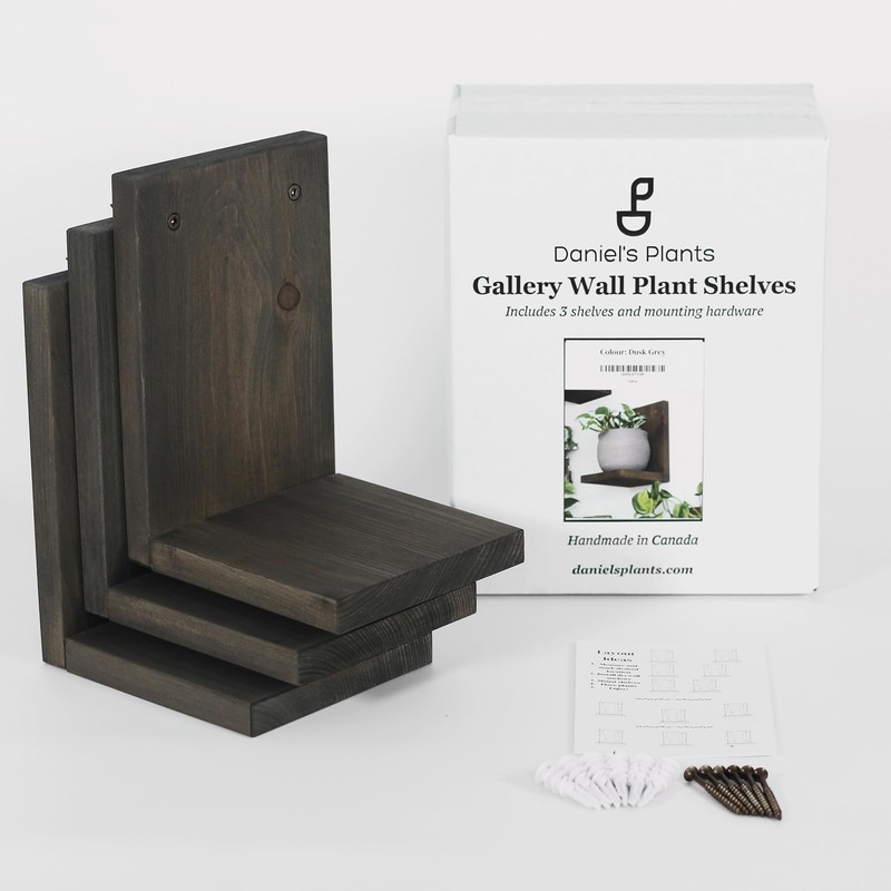 Daniel's Plants Indoor Plant Wall Gallery Shelf Kit | Midcentury