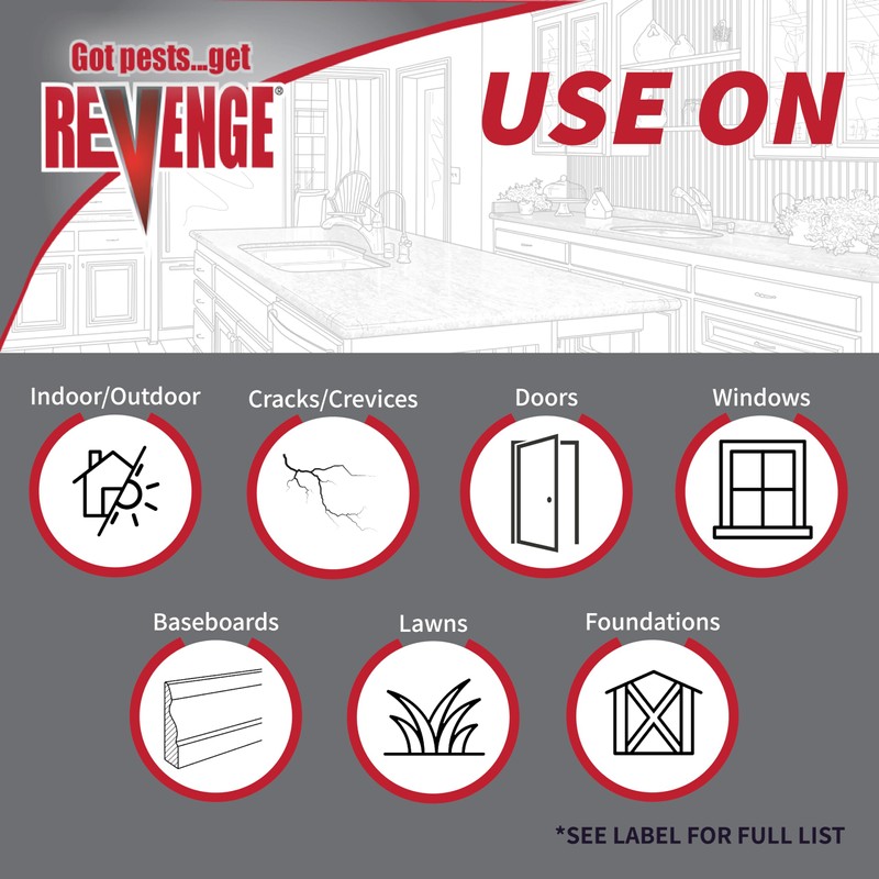 Revenge Spider & Ground Bee Killer for Indoors and Outdoors,