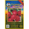 Everwilde Farms - 1 Oz German Giant Radish Seeds -