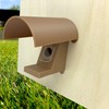Roof for small bumblebee flap stem, bumblebee flap/wax moth barrier