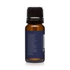 Instant Vacation Premium Grade Fragrance Oil - 10ml - Scented