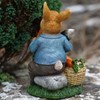 Hungry Bunny Resin Sculpture | Home Garden Peter Rabbit Statue