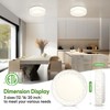 Lightania 12 Inch Flush Mount Ceiling Light, Modern White LED