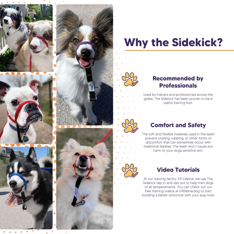 Heather's Heroes Sidekick Dog Headcollar with Leash - Sidekick Leash