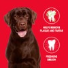 Petrodex Natural Toothpaste Dog - Peanut - 2.5 Oz