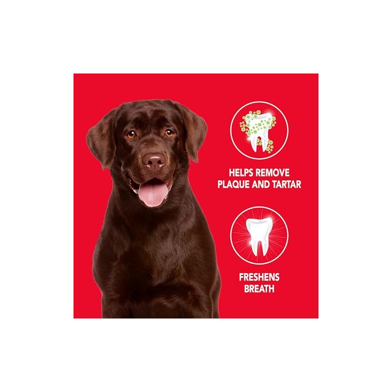 Petrodex Natural Toothpaste Dog - Peanut - 2.5 Oz