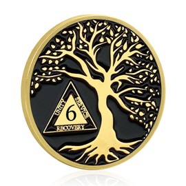 Sobriety AA Chip Sobriety Coin Year Sober Anniversary, Tree of Life Recovery Medallion Chip Recovery token NA AA Great Sobriety Gifts for Men Women Alcoholics Anonymous Plastic Case Included (6 Years)