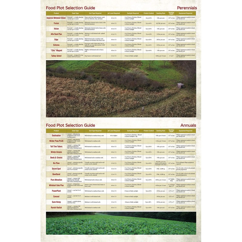 Whitetail Institute Turkey Select Chufa Food Plot Seed, Chufa Seed