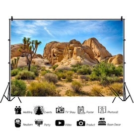 Xiaoterna 7x5ft Desert Backdrop Joshua Tree National Park Sandstone Rock Desert Cactus Photography Background Arid Barren Desert Terrarium Backdrop Children Adults Artistic Portrait Photo Props