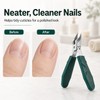 Wide Jaw Opening Anti-Splash Slanted Nail Clipper, Eagle Beak Beveled
