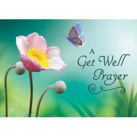 Shared Blessings Fluttering Butterfly Get Well 1 Count Religious Praying For You Greeting Card, King James Version Scripture