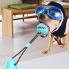 Hiperactivos Interactivos Cachorros Juguetes Para Perros