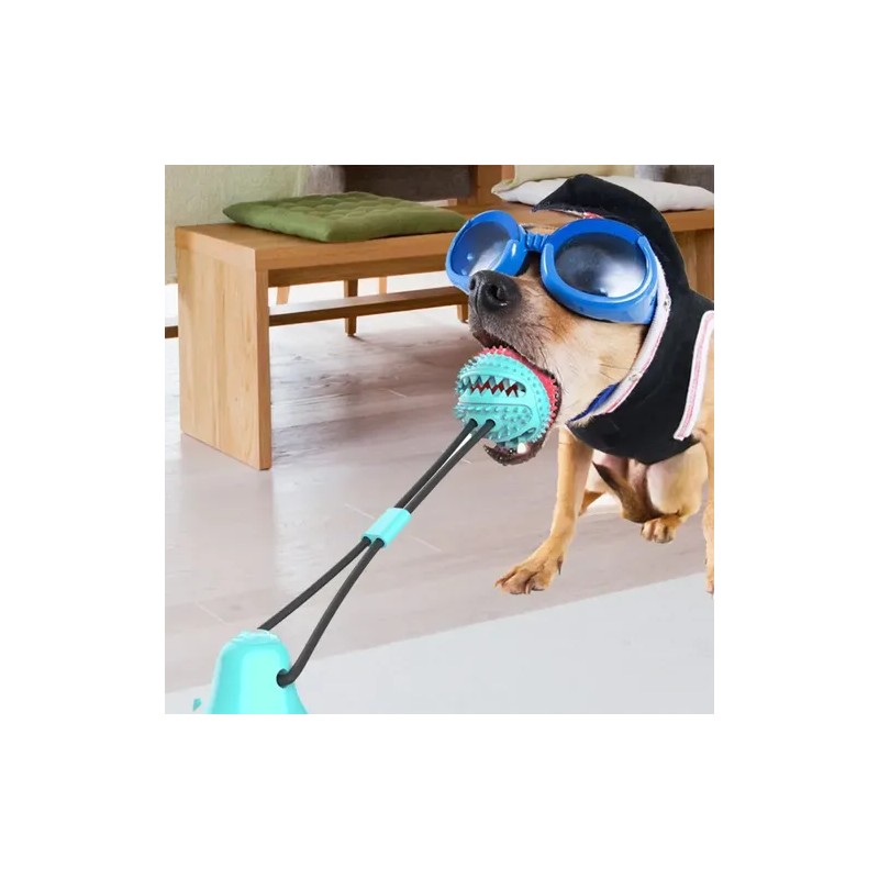 Hiperactivos Interactivos Cachorros Juguetes Para Perros