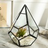 Stylish Geometric Shape Flowerpot Glass Plant Planter Succulent Plants Container