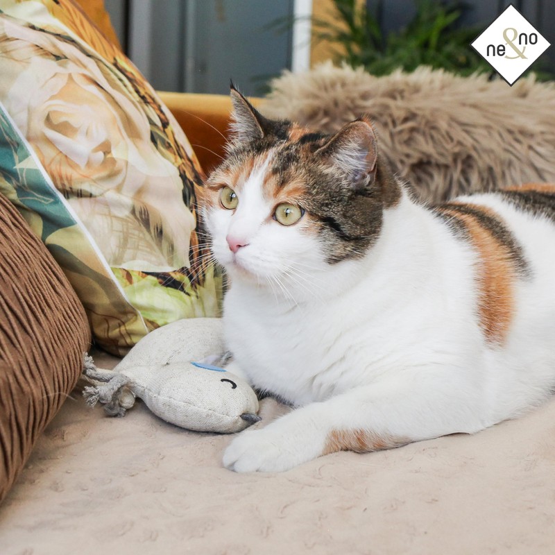ne&no® Cat Toys with Baldrian Refillable – 100% Natural –