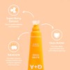Q+A Super Food Lip Balm