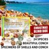 Christmas Countdown Advent Calendar 24 Pcs Shell Toys 2022 Conch