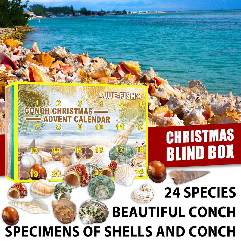 Christmas Countdown Advent Calendar 24 Pcs Shell Toys 2022 Conch
