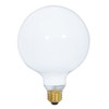 Satco S3004 120-Volt 150-Watt G40 Medium Base Light Bulb, Gloss