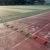 15cm Mini Hurdles Sports Blue 15cm Height