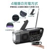 Greeshow Disaster Prevention Radio, Multi-functional Radio, Hand Crank, Flashlight, Portable