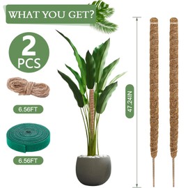 Pack of 2 Monstera Trellis, Plant Stake, Coconut Moss Stick, Flexible Moss Sticks for Plants, Monstera Rod with Accessories, Moss Rod Set for Climbing Plants, Plant Support (120 cm)