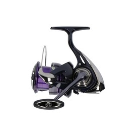 DAIWA 24 Prorex X LT 4000-C, Spinning Fishing Reel, Frontdrag
