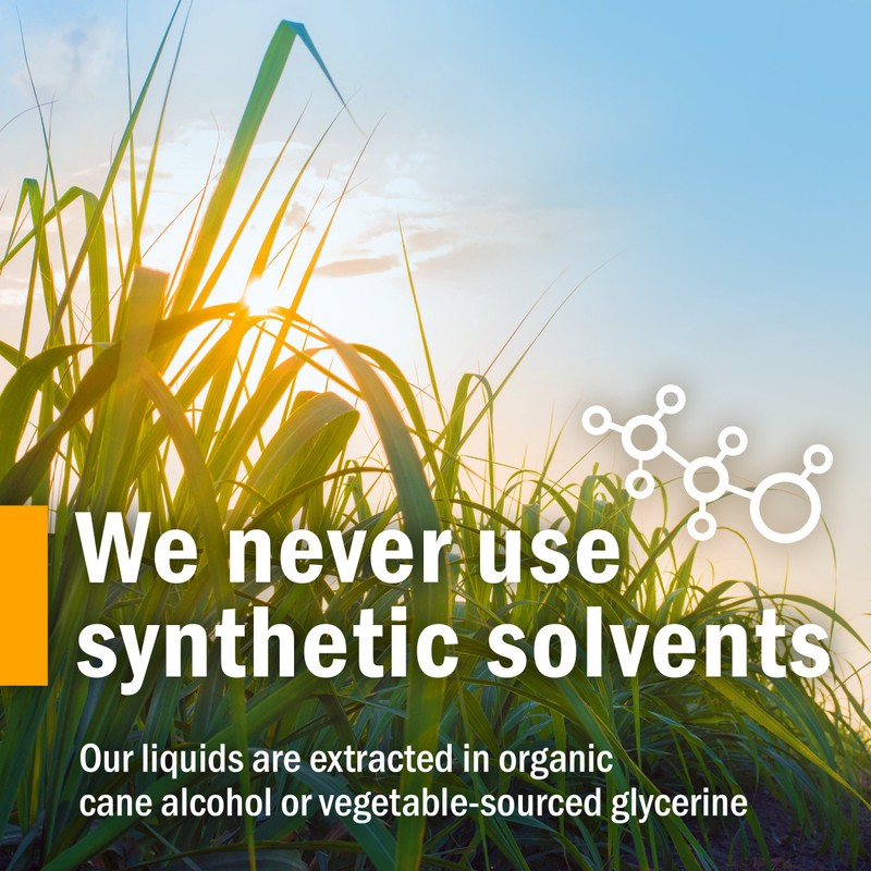 Herb Pharm Fringe Tree Liquid Extract for Digestive System Support