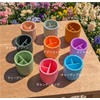 PetalKnots Pen Holder, Made in Japan, Colorful, Pop Color, Unbreakable