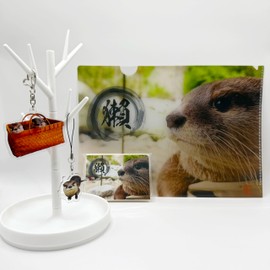 白州 カワウソクリアファイルとキーホルダーセット（特製A4クリアファイル6枚＆厳選キーホルダー2種）