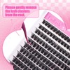 Fadlash DIY Eyelash Extensions 0.07 D-8-16 mm 100D Individual Eyelash