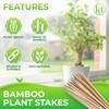 KT Deals 100 Pack 16" Bamboo Plant Stakes, Garden Sticks