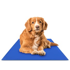 The Green Pet Shop Chillz Gel Mat, Medium - Pressure-Activated Cooling Pad for Pets 0-25 lbs - Non-Toxic, No Water or Refrigeration Needed - Ideal for Home, Travel & Crates