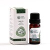 MCT natural I Sage Oil 10 ml I Essential Oil
