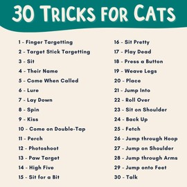 OutdoorBengal The Click Crusade (Cat Training Card Game Guide to Clicker Training for Cats for Teaching Tricks, Improving Communication and Bonding with Your Kitten (Clicker not Included)