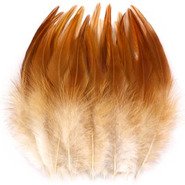 Holmgren 200pcs Natural Rooster Feathers - 5-7inch Craft Rooster Feathers Bulk for Hats, Jewelry Accessories and Dream Catcher Supplies (Natural)