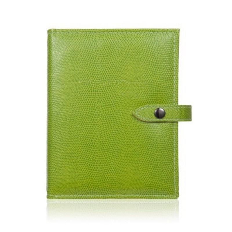 The Little Book of Earrings - Green Liz - 48